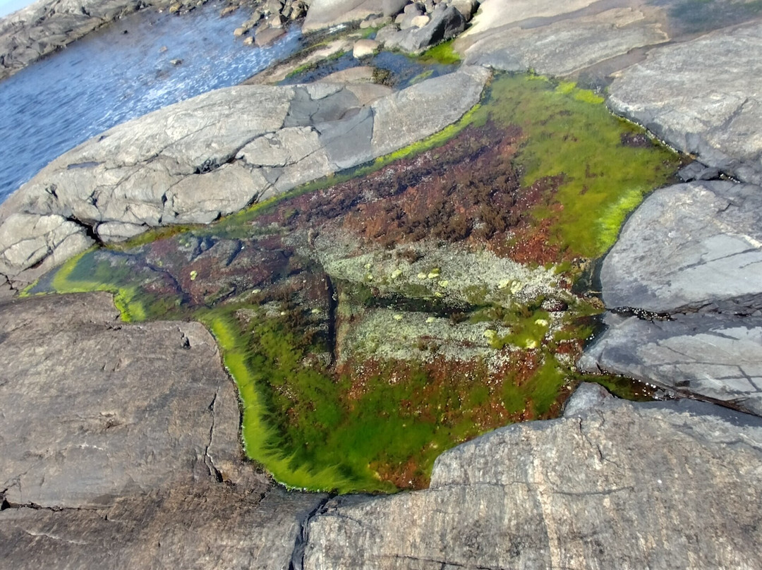 Roro naturreservat景点图片