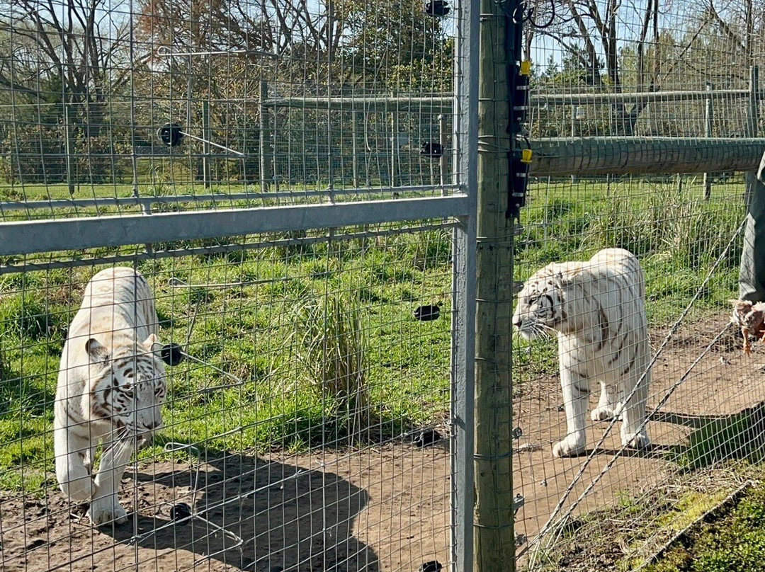 Vredenheim-斯泰伦博斯必去景点