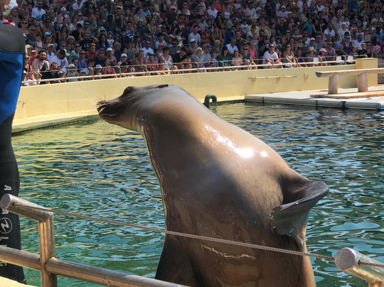 Marineland Lagoon-安提贝必去景点