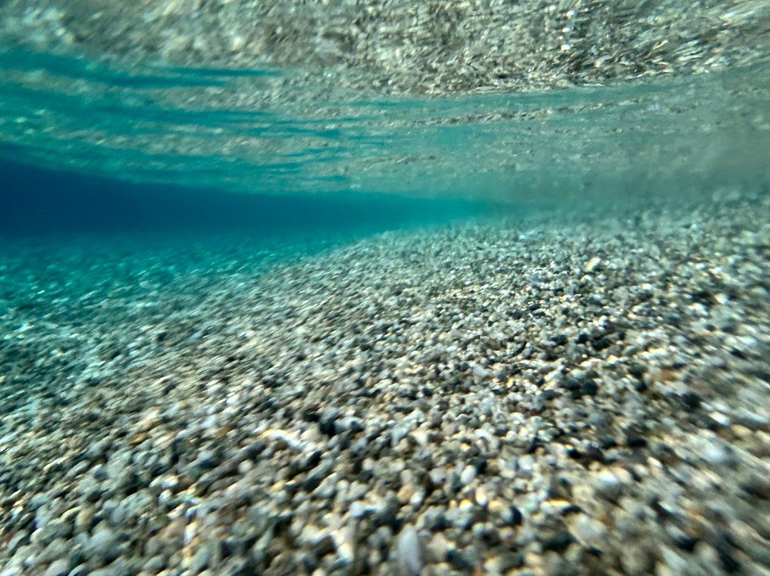 Le Camere di Rosanna主图