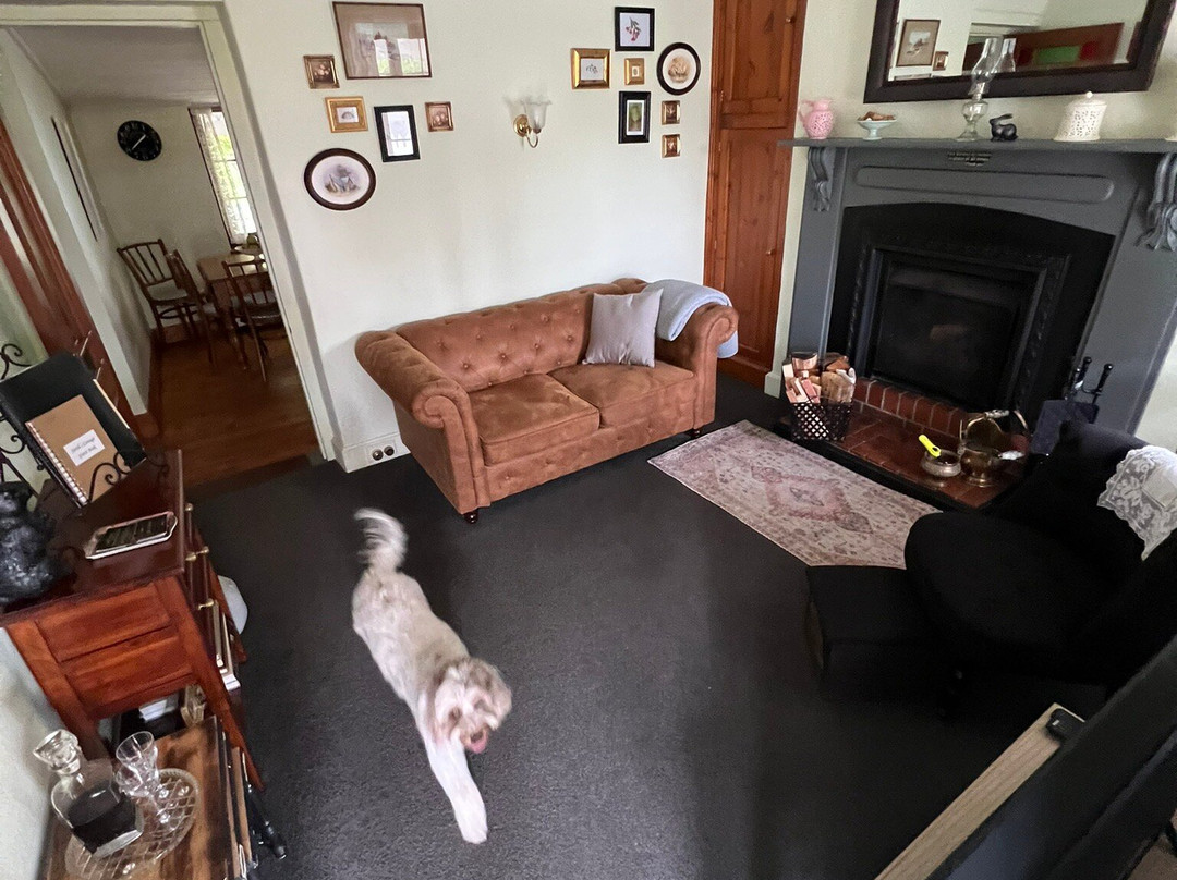 Sarah's Cottage Penola主图