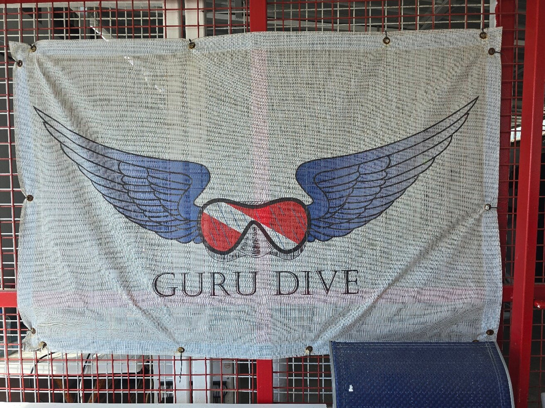 Guru Dive Doğa Sporları ve Eğitim Merkezi-伊斯坦布尔必去景点