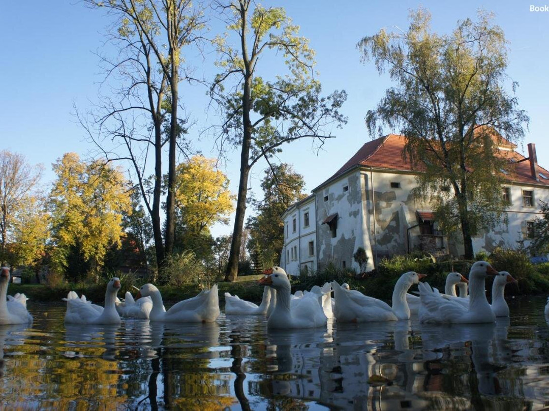 Piotrowice Nyskie Palace主图