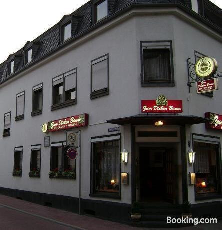 Hotel Pension zum dicken Baum主图