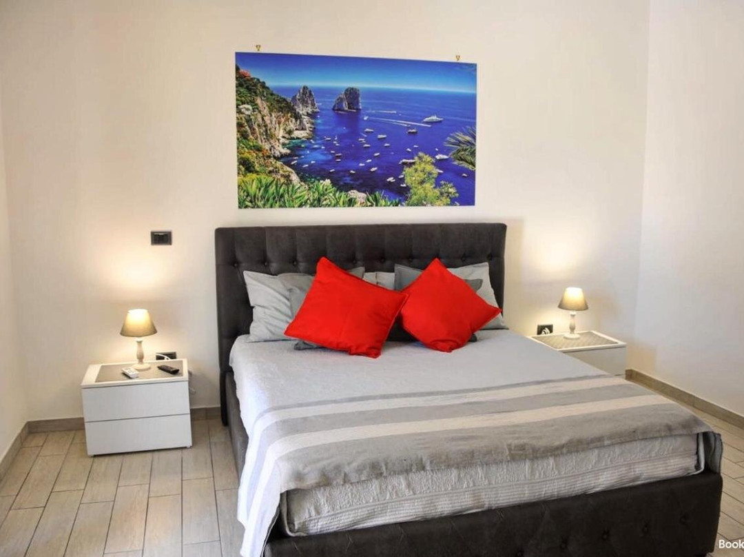 B&B Le due Rose主图