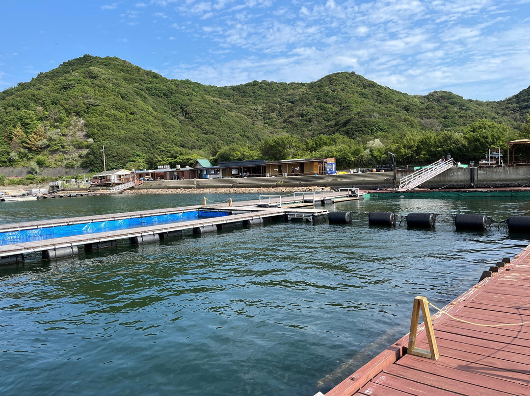 Janohire Dolphin Farm