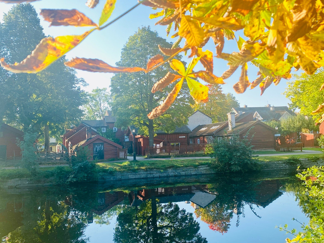 Wadköping Open Air Museum景点图片