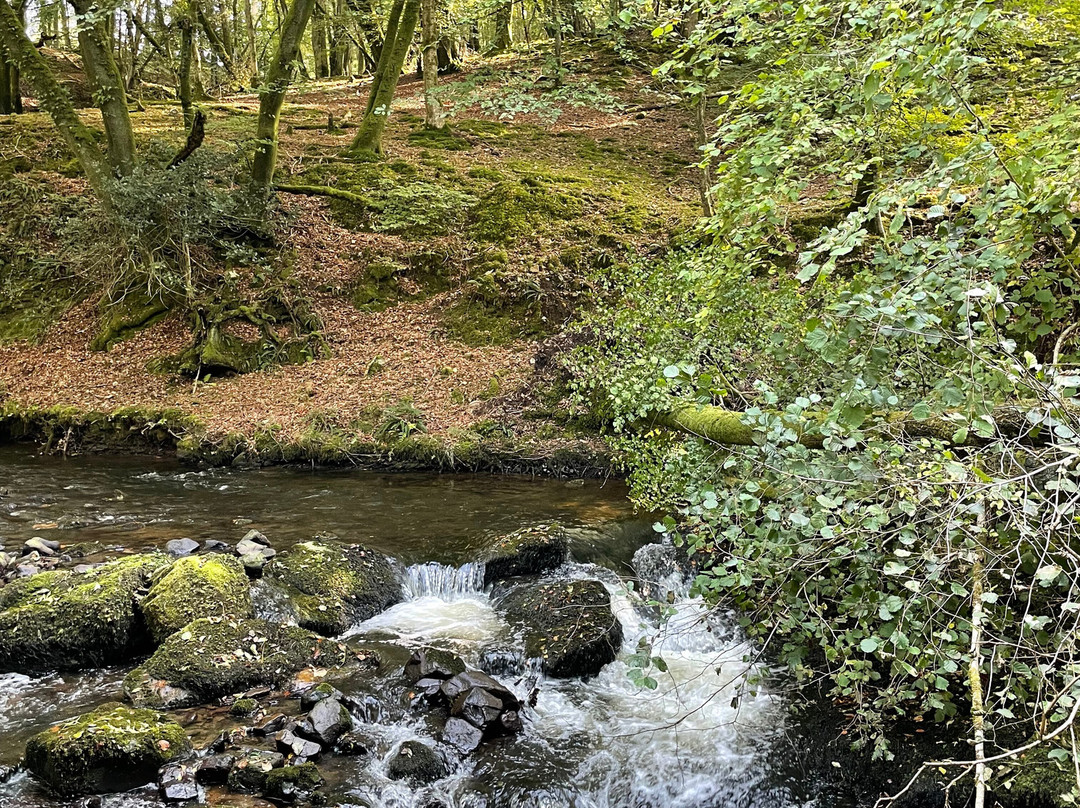 The Mill at Glynhir主图