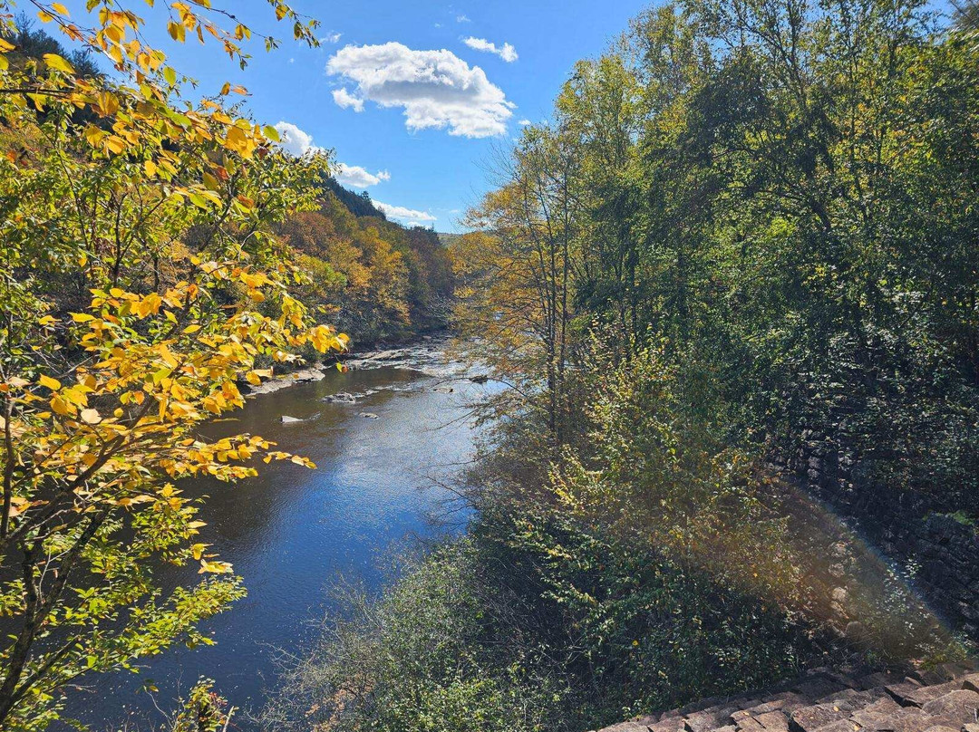 Poconos Bike Rentals景点图片