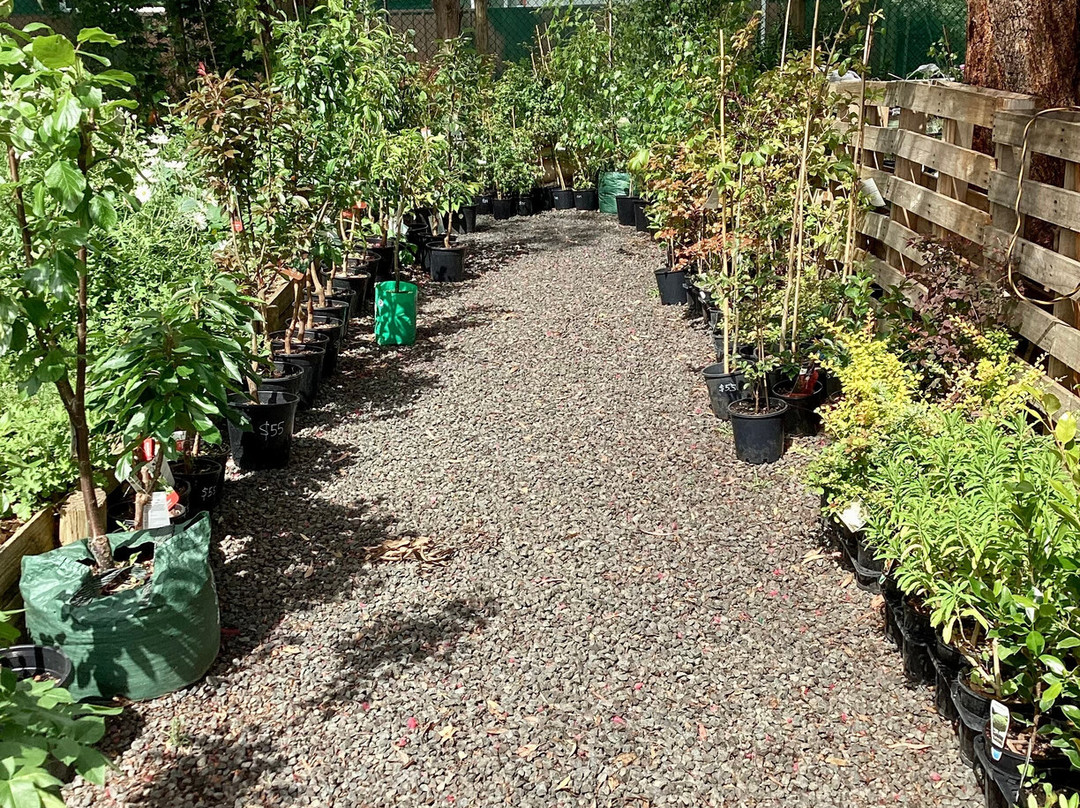 Great Escape Garden Centre-Casterton必去景点