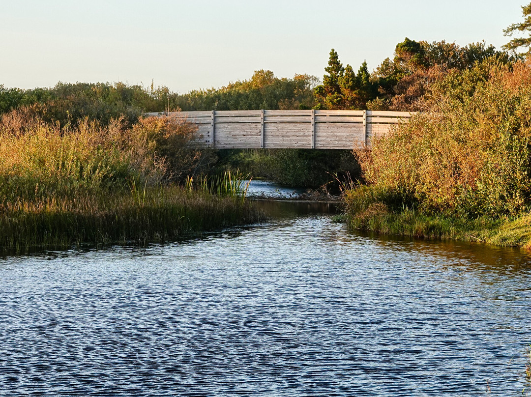 Floras Lake House Bed & Breakfast主图