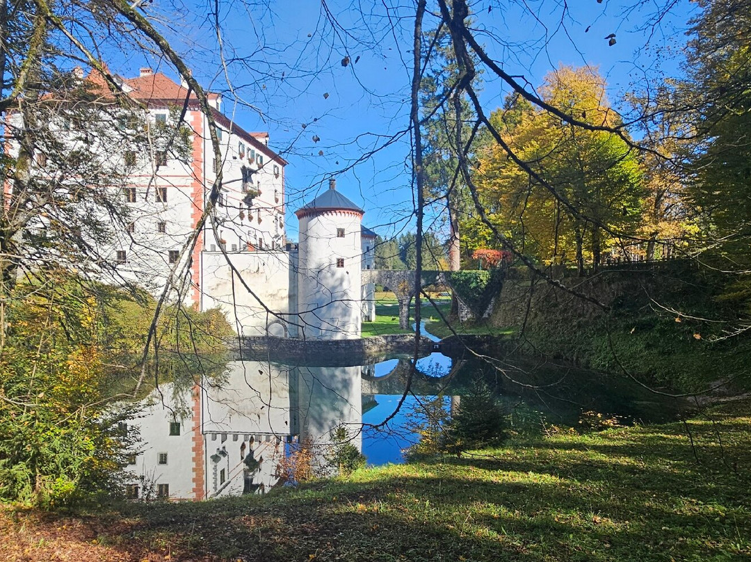 Sneznik Castle Museum景点图片