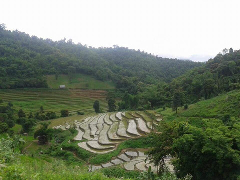 RU tour and trek-清莱必去景点