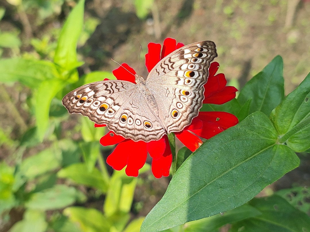 IORA - The Retreat, Kaziranga主图