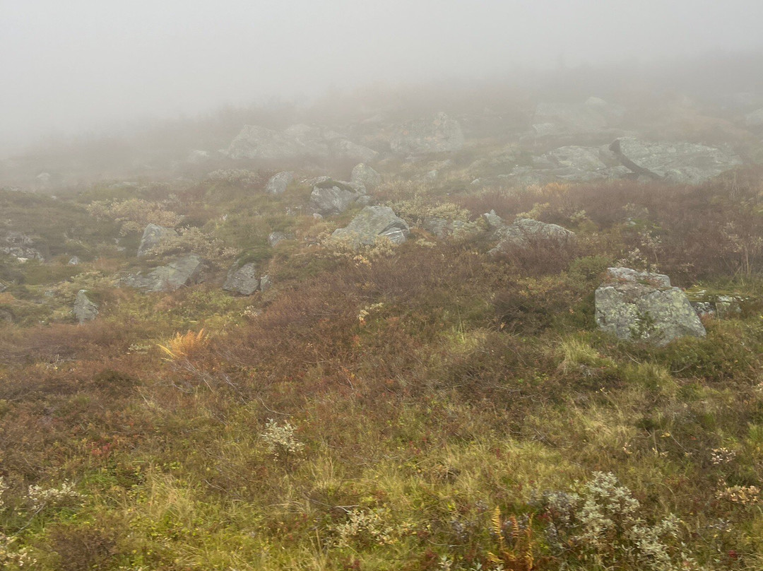 Nasjonale Turistvegar Gamle Strynefjellsvegen-Stryn必去景点