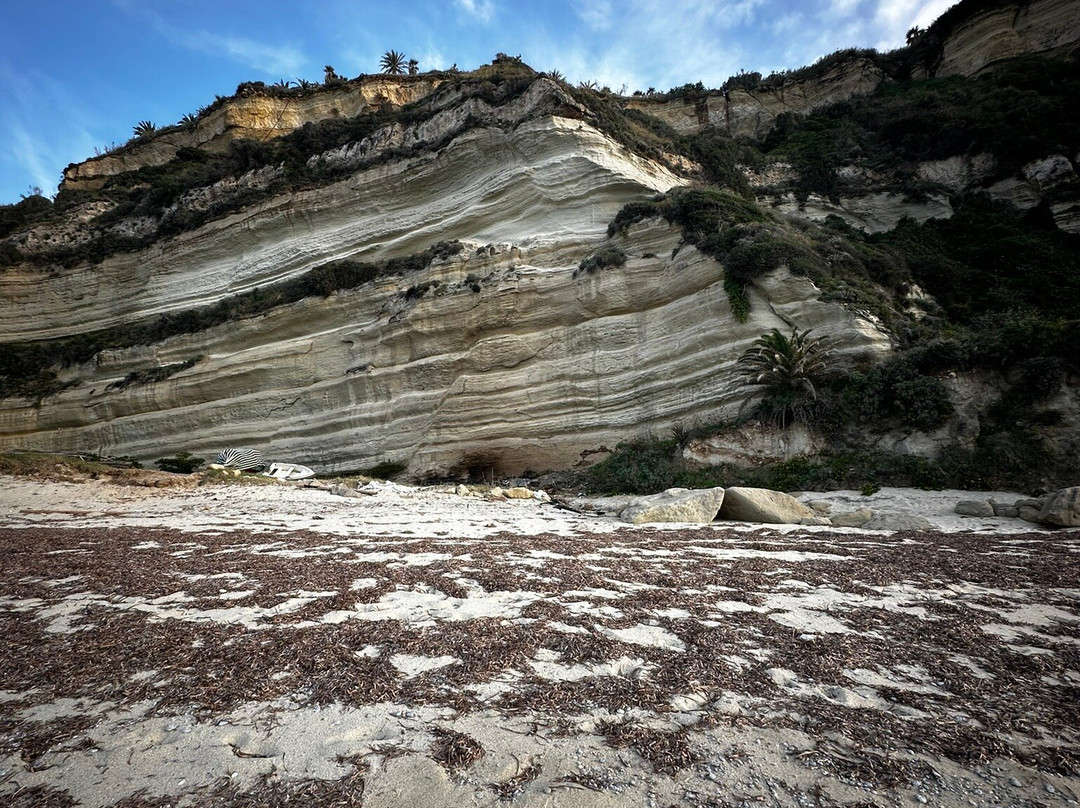 Spiaggia di Scalea景点图片