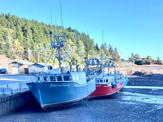 Hugo Bus Tours and Shore Excursions-圣约翰必去景点