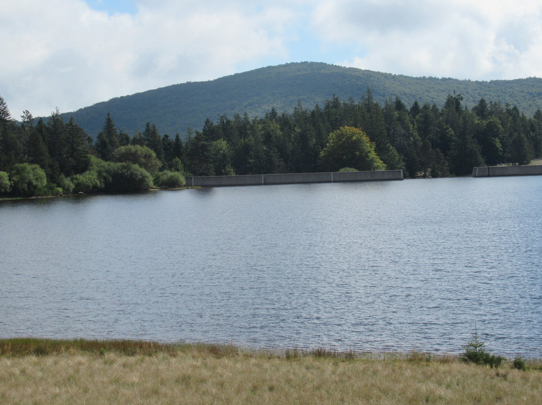 Lac Des Pises景点图片
