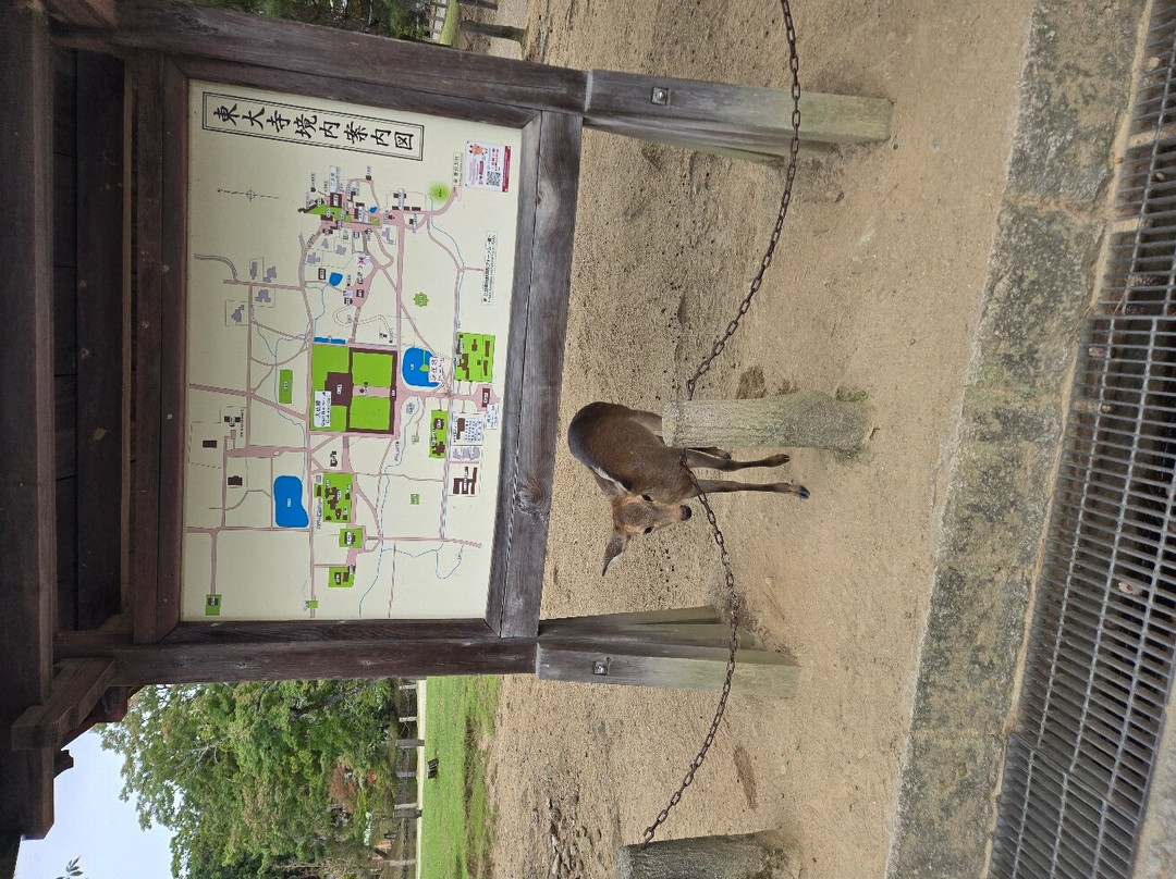 奈良猿泽游客观光中心-奈良市必去景点