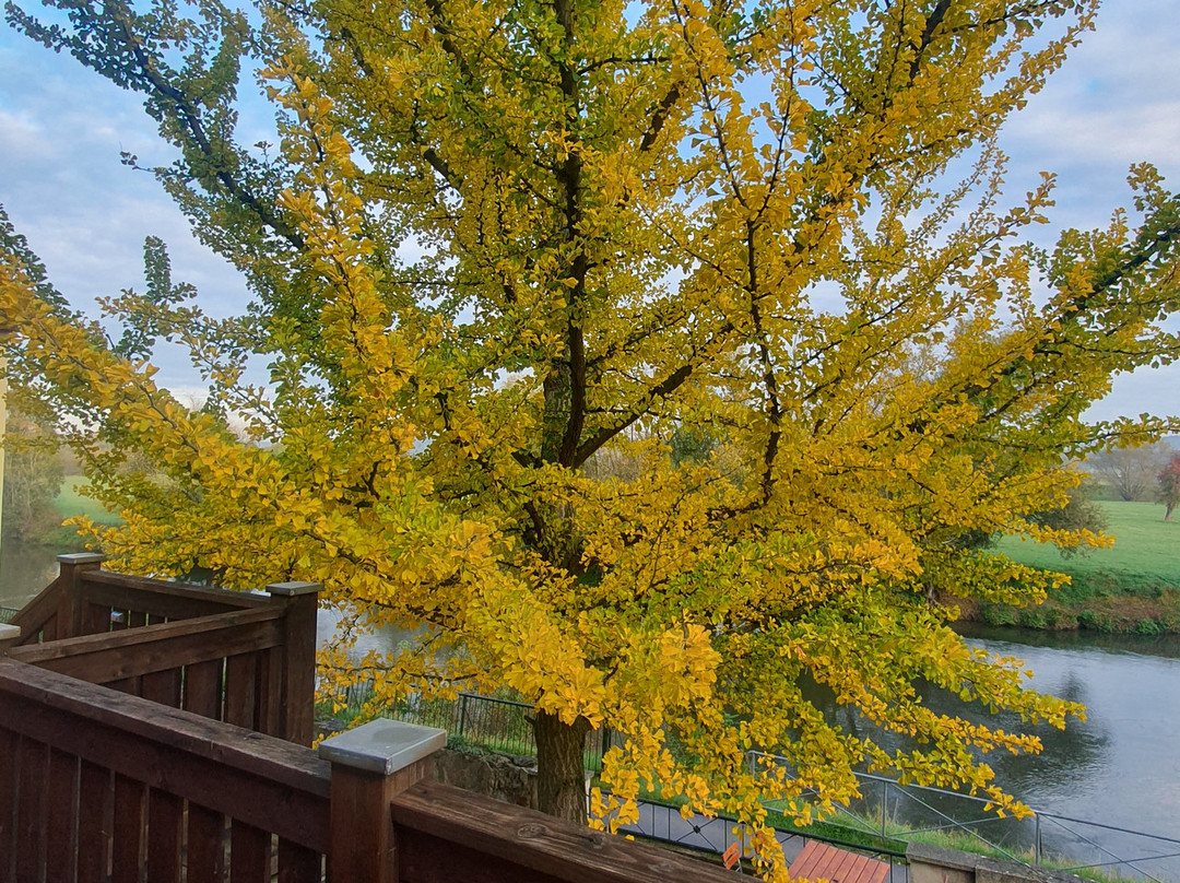 Alter Felsenkeller主图