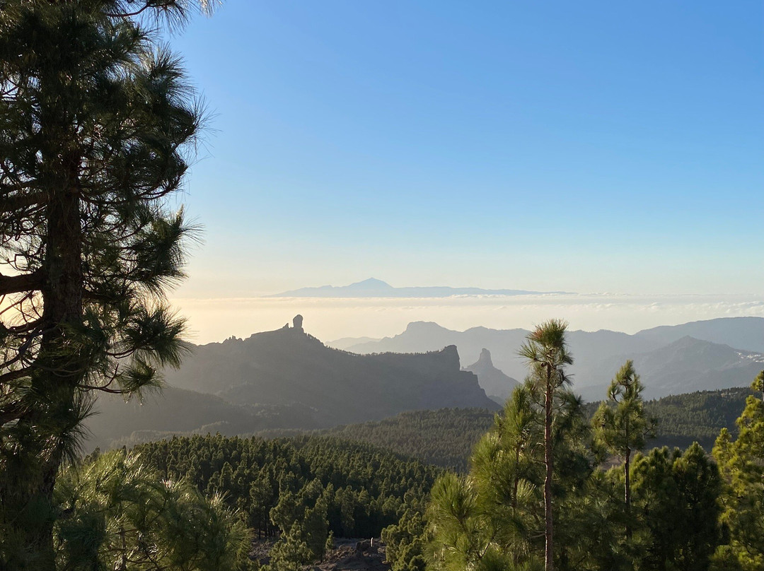 Mirador del Pico de los Pozos de la Nieve景点图片