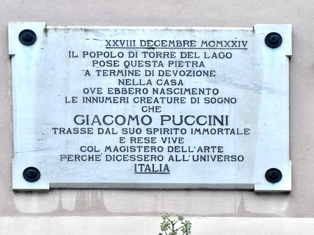 Monumento A Giacomo Puccini景点图片