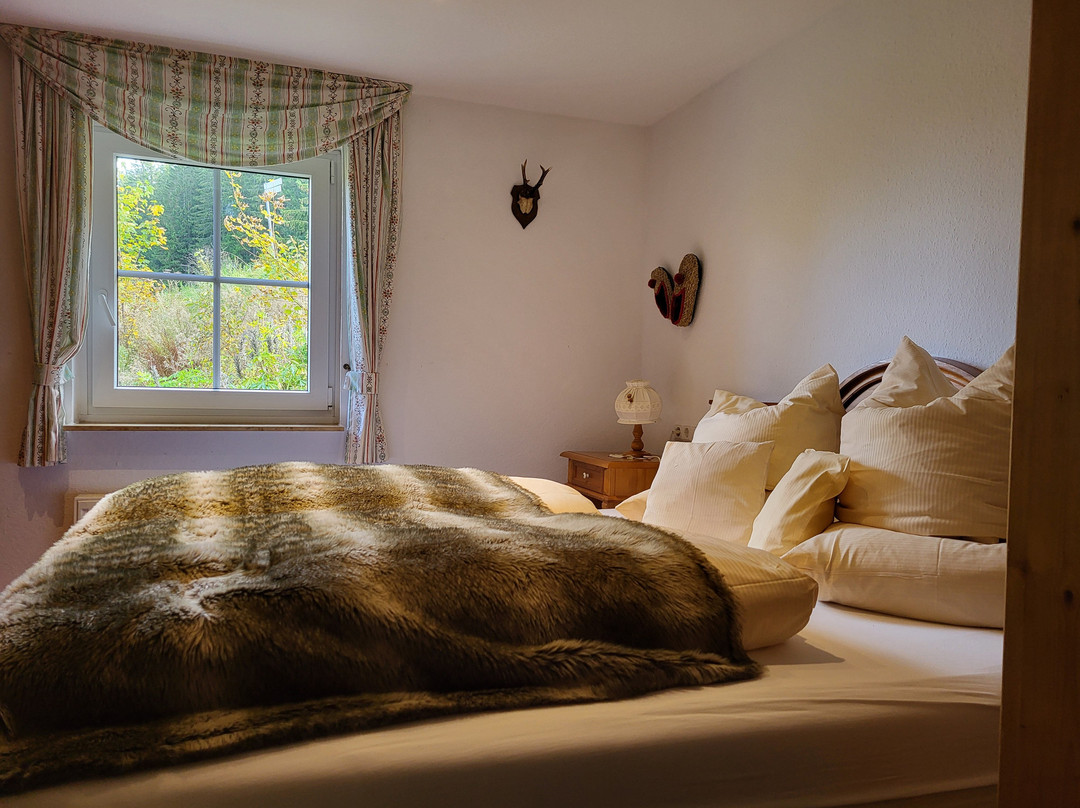 荷恩加斯特霍夫格鲁纳鲍姆酒店主图