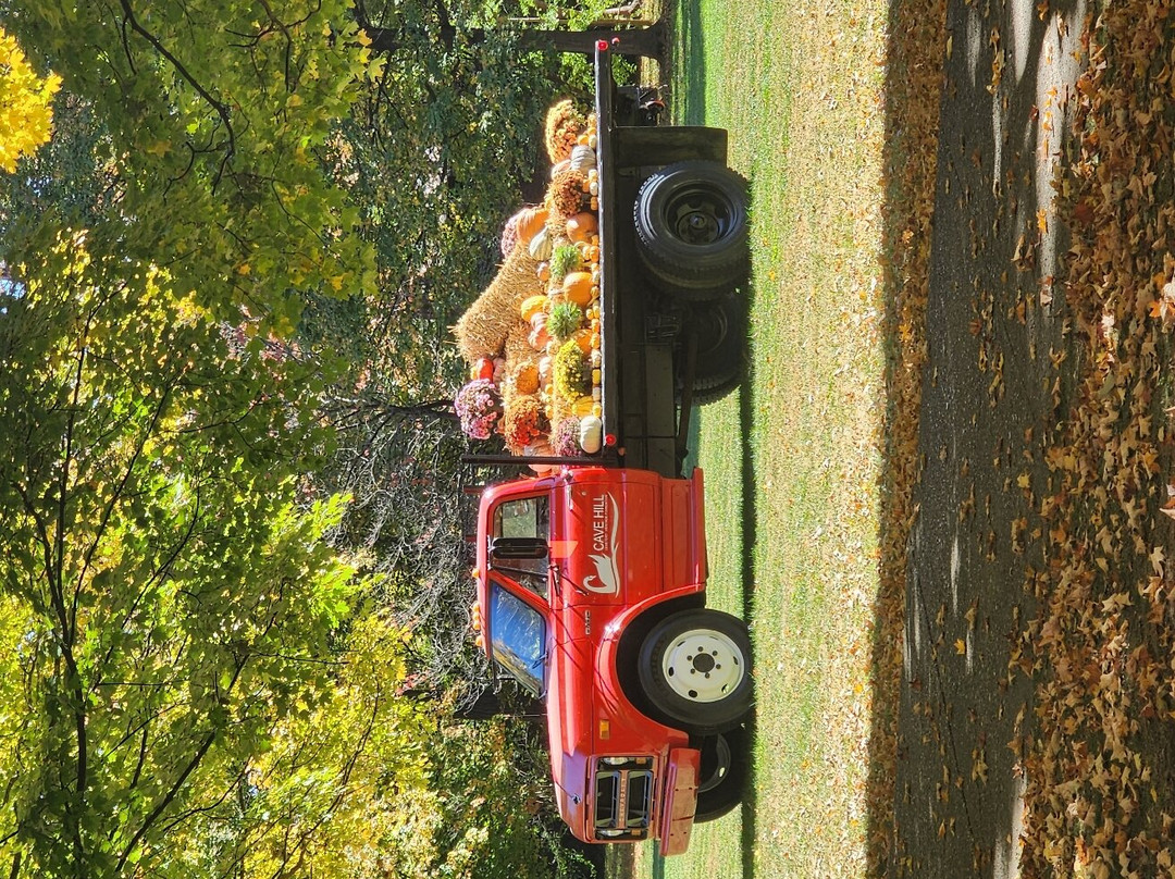 Cave Hill Cemetery-路易斯维尔必去景点