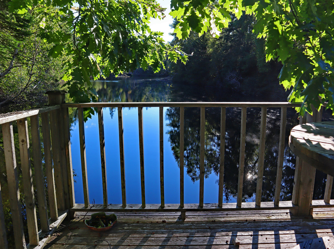 Forest & Lake PEI Bed & Breakfast主图