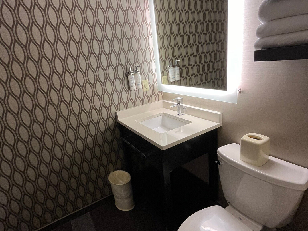 圣保罗市中心假日酒店主图