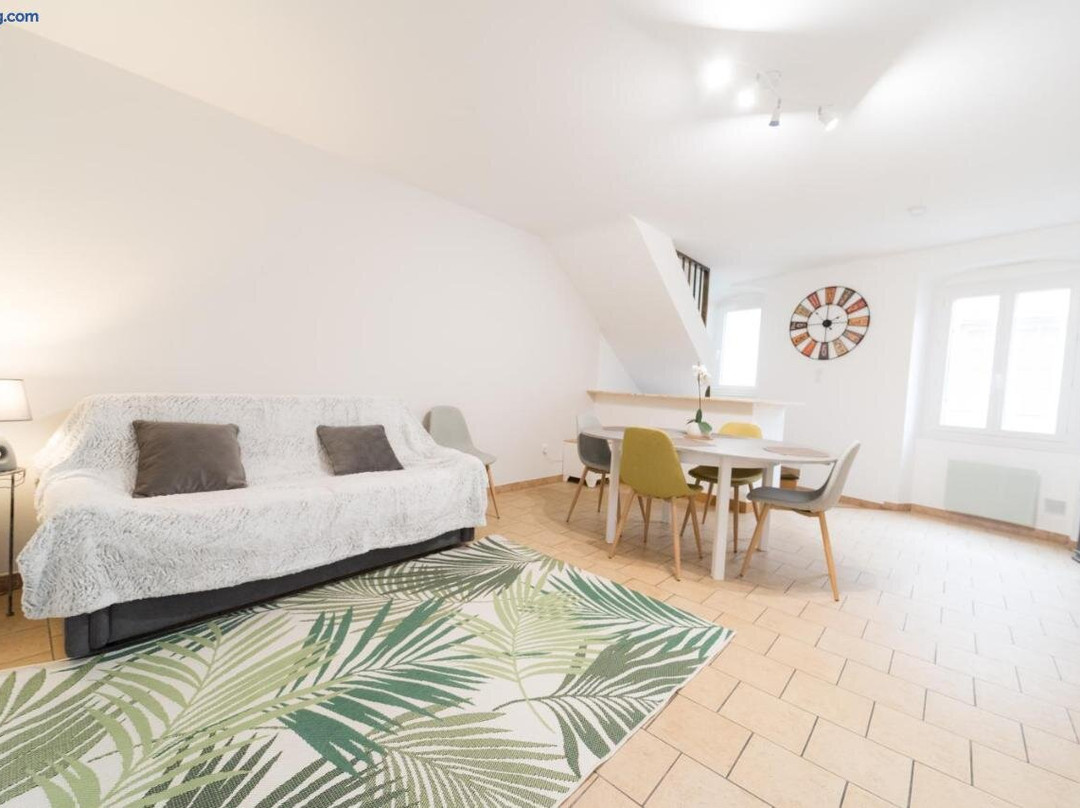 Ravissant Triplex Et Duplex Au Centre De Pont St Esprit