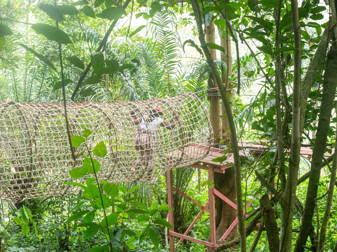 We-Ape Mega Zipline & Adventure Park-Aburi必去景点