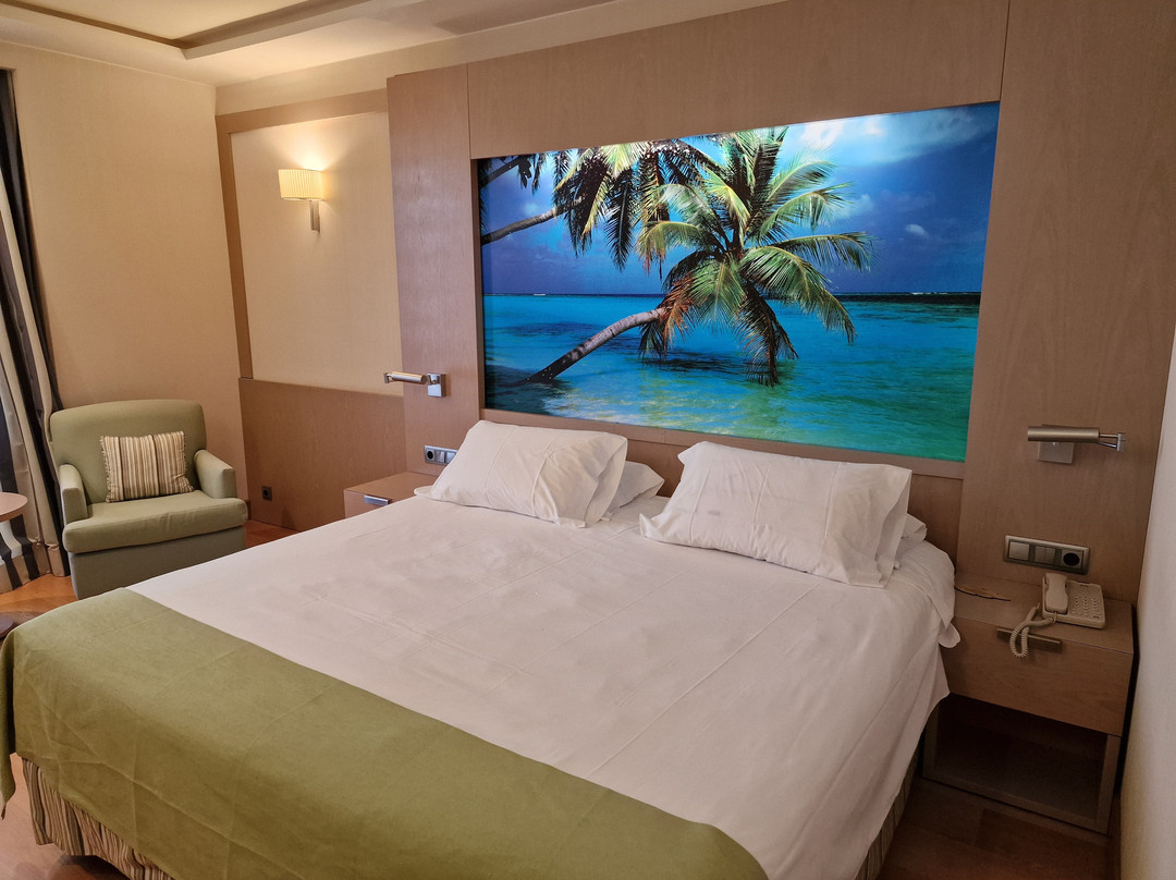 内尔瓦酒店主图