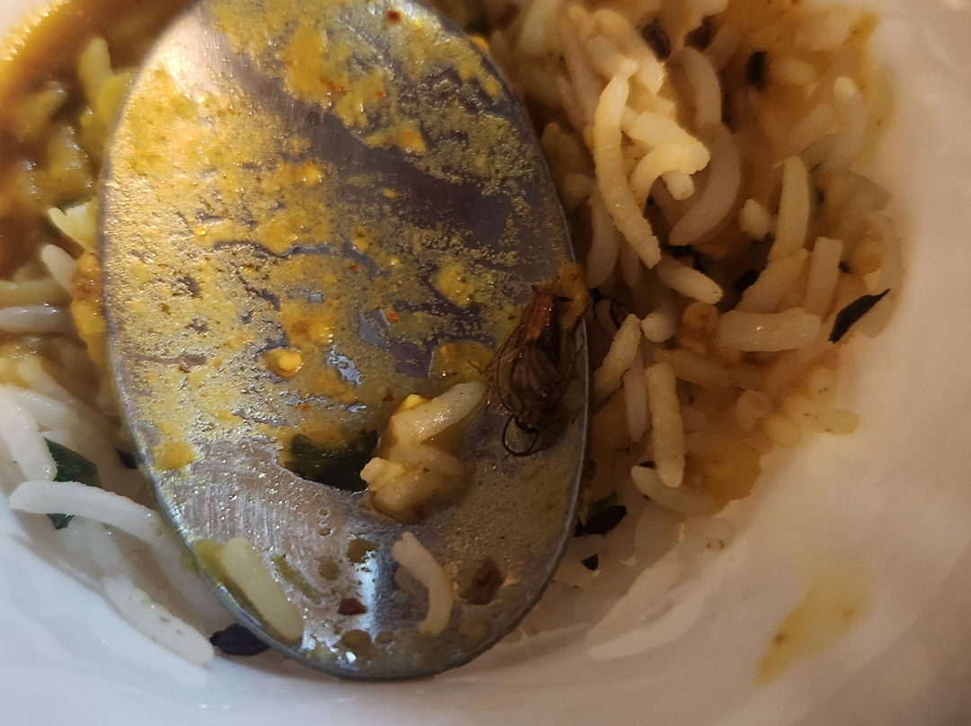 Amadi Beachfront Resorts主图