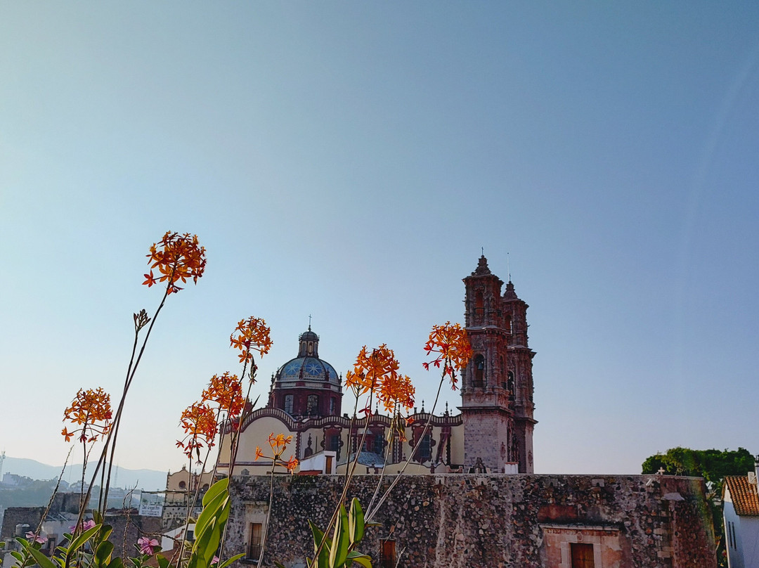 Hotel Mi Casita主图