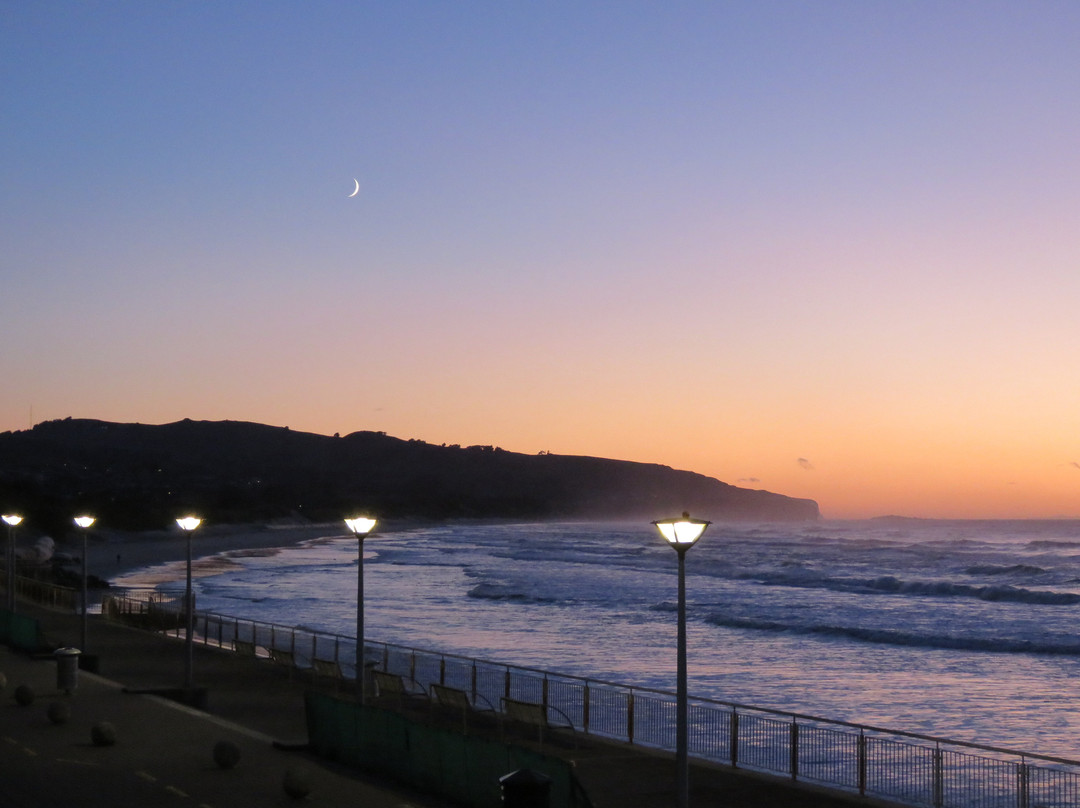 St Clair Beach-但尼丁必去景点