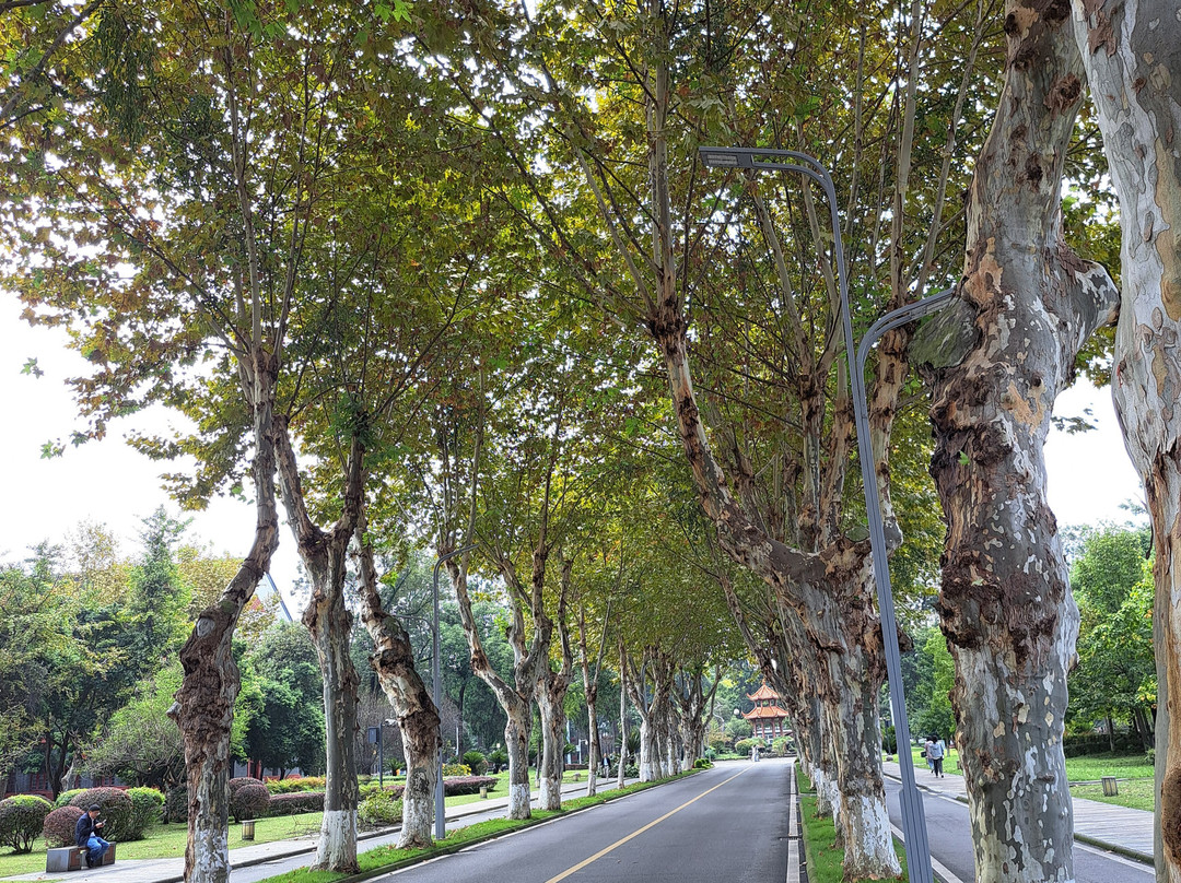 四川大学-成都必去景点