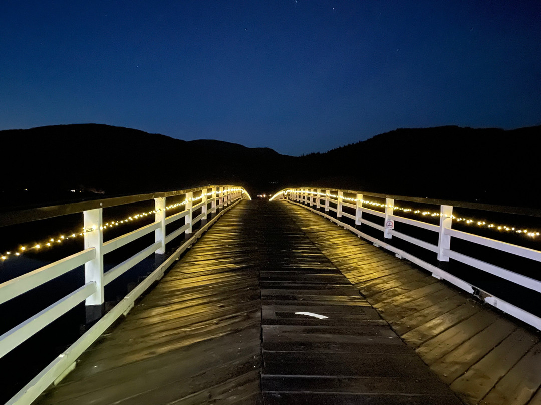 Penmaenpool Toll Bridge景点图片