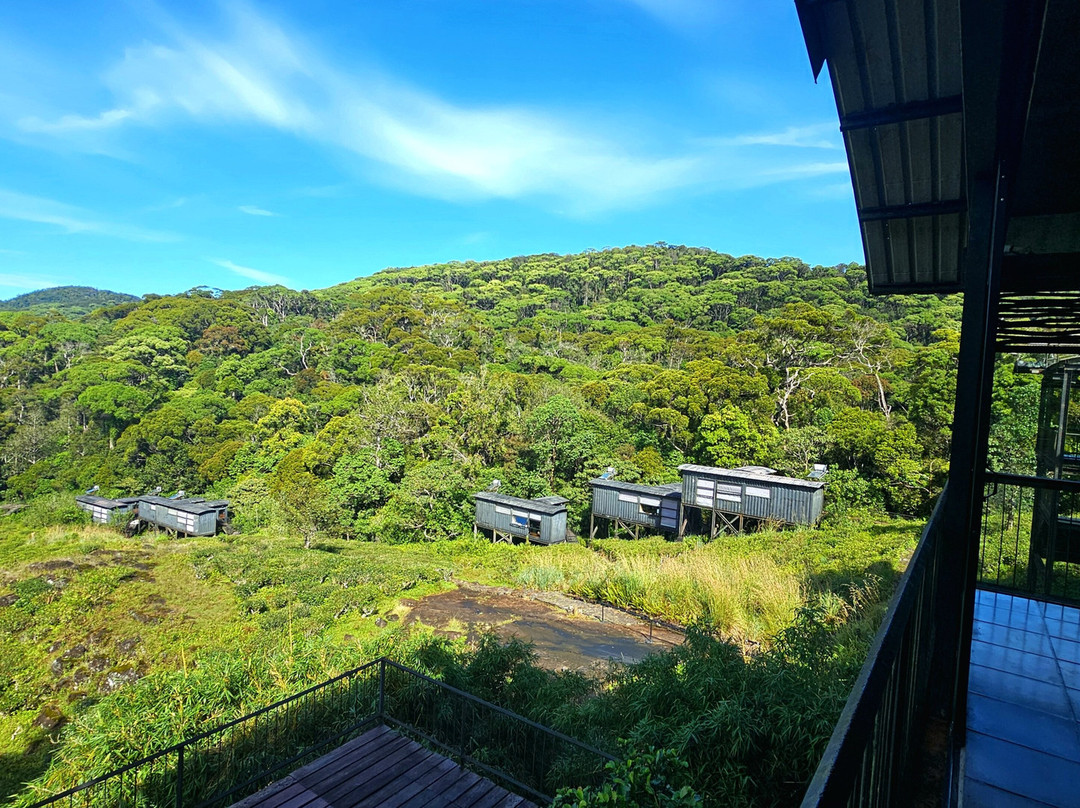 Rainforest Ecolodge主图