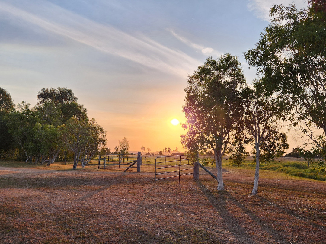 亨德森公园农场山林小屋主图