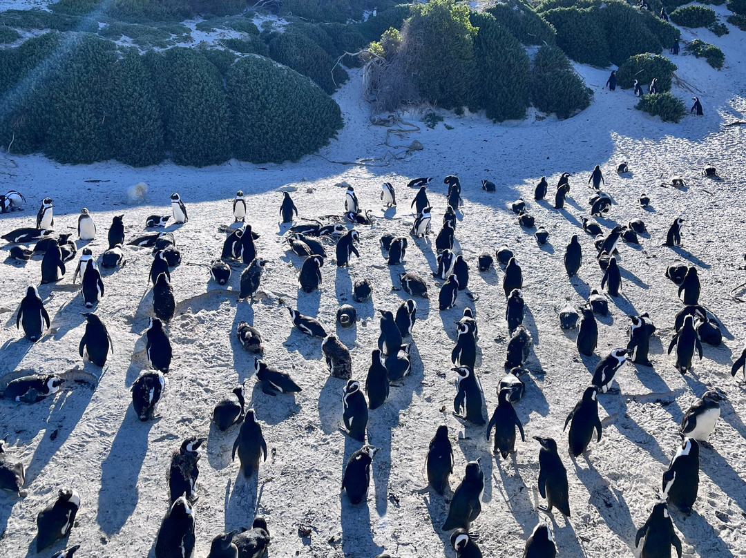 African Travel Consultants-Sabie Park必去景点