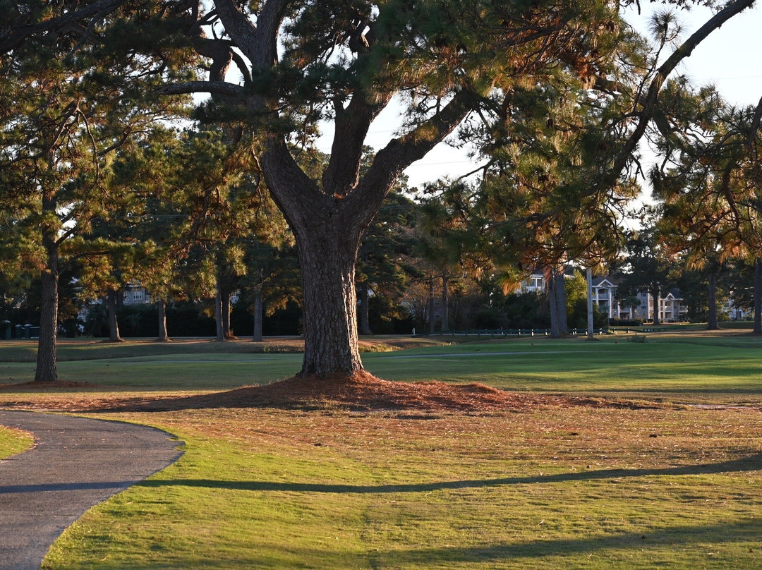 PineHills & Palmetto at Myrtlewood Golf Club-美特尔海滩必去景点