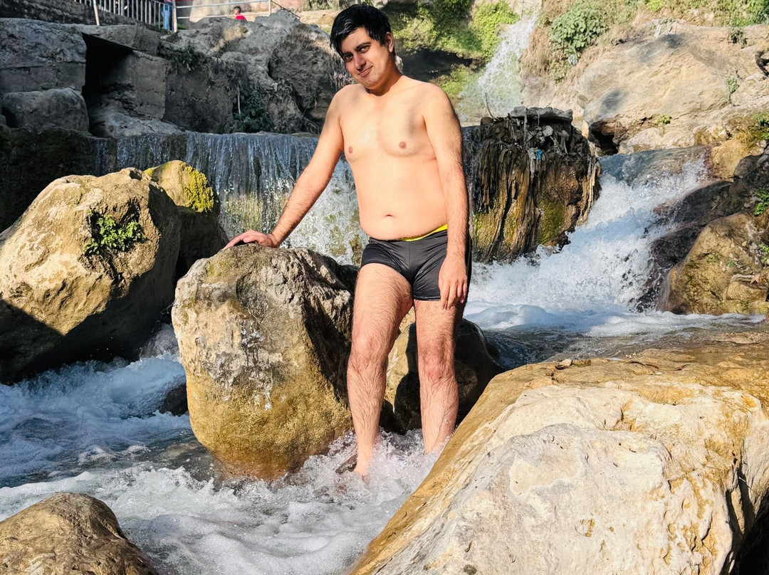 Bhatta Falls景点图片