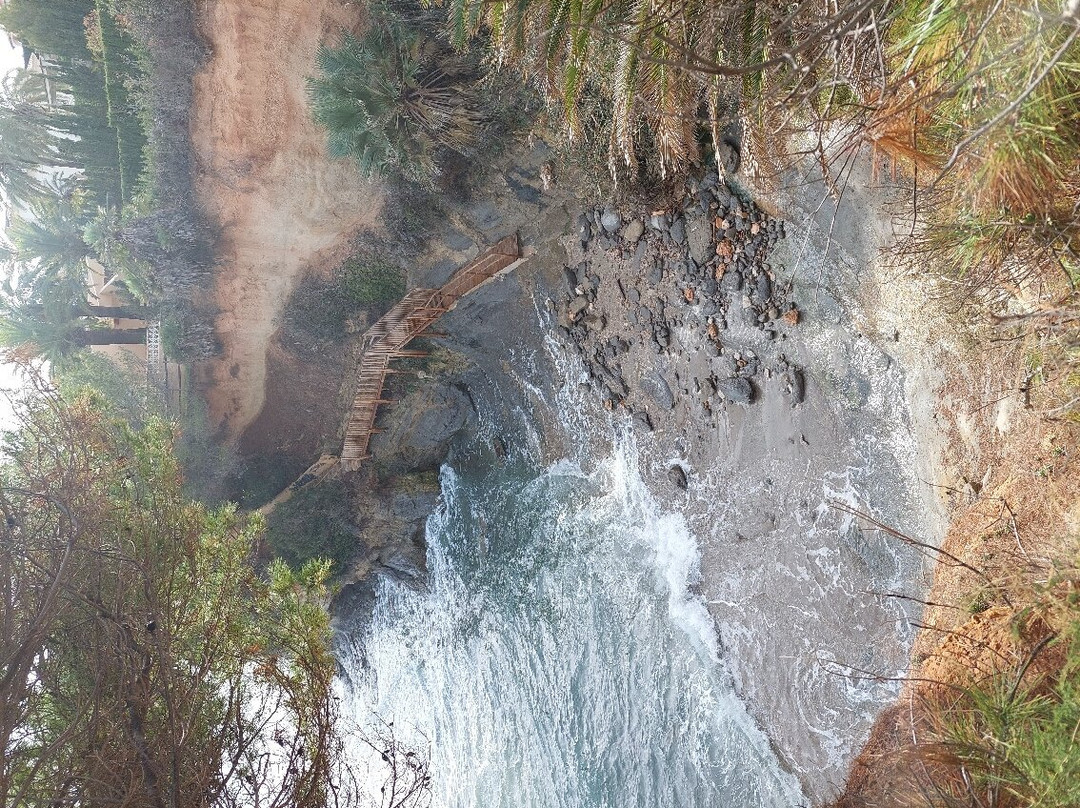 Paseo Ecologico Principe De Asturias景点图片