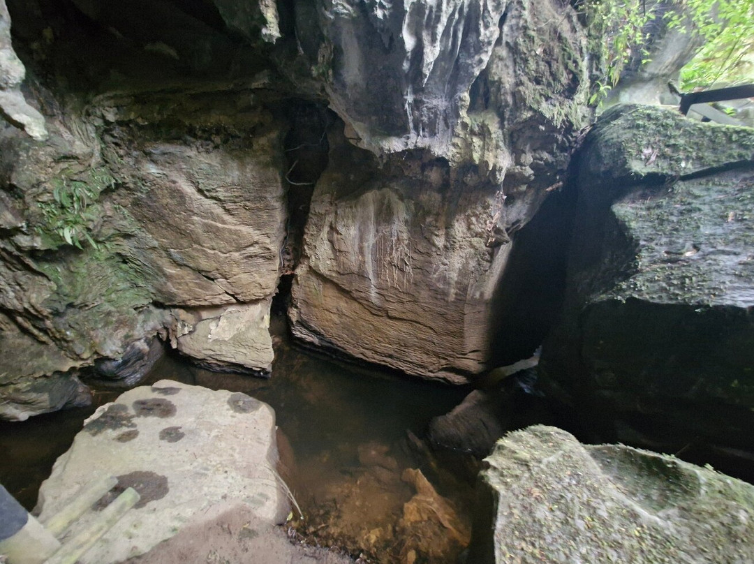 Kawiti Glow Worm Caves景点图片
