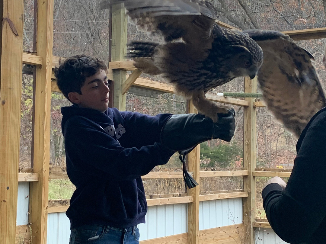 Raptor Hill Falconry景点图片