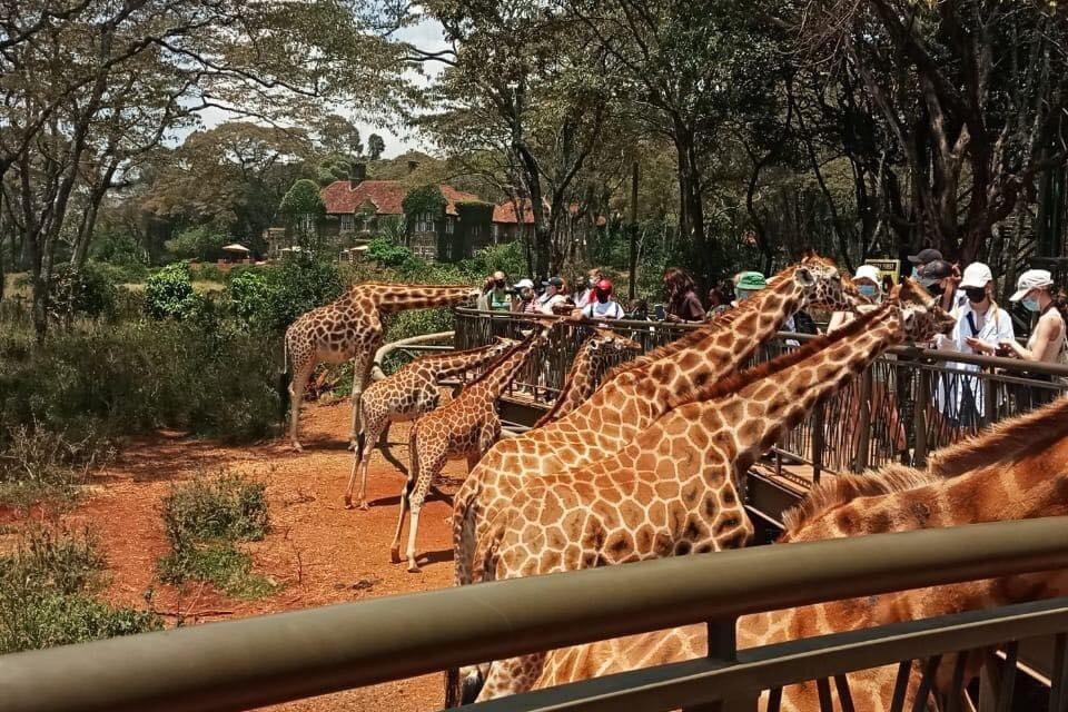 kasandi tours and travels-Karen必去景点