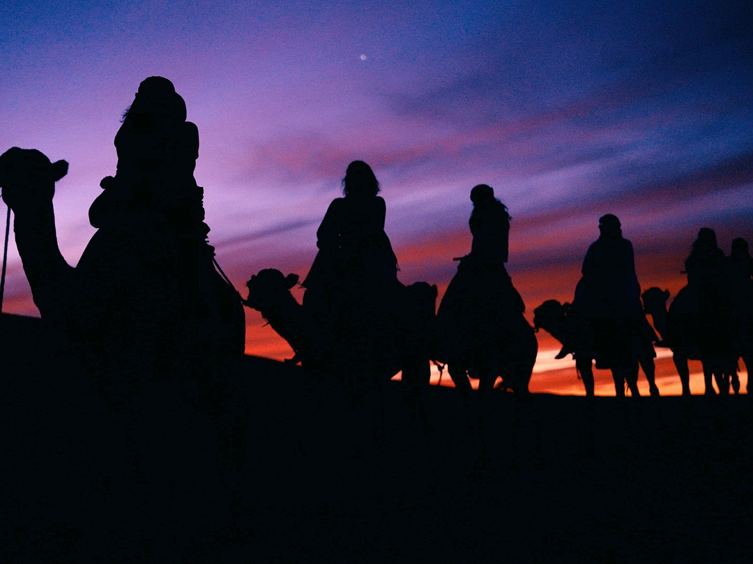 Just Go Morocco Tours-非斯必去景点