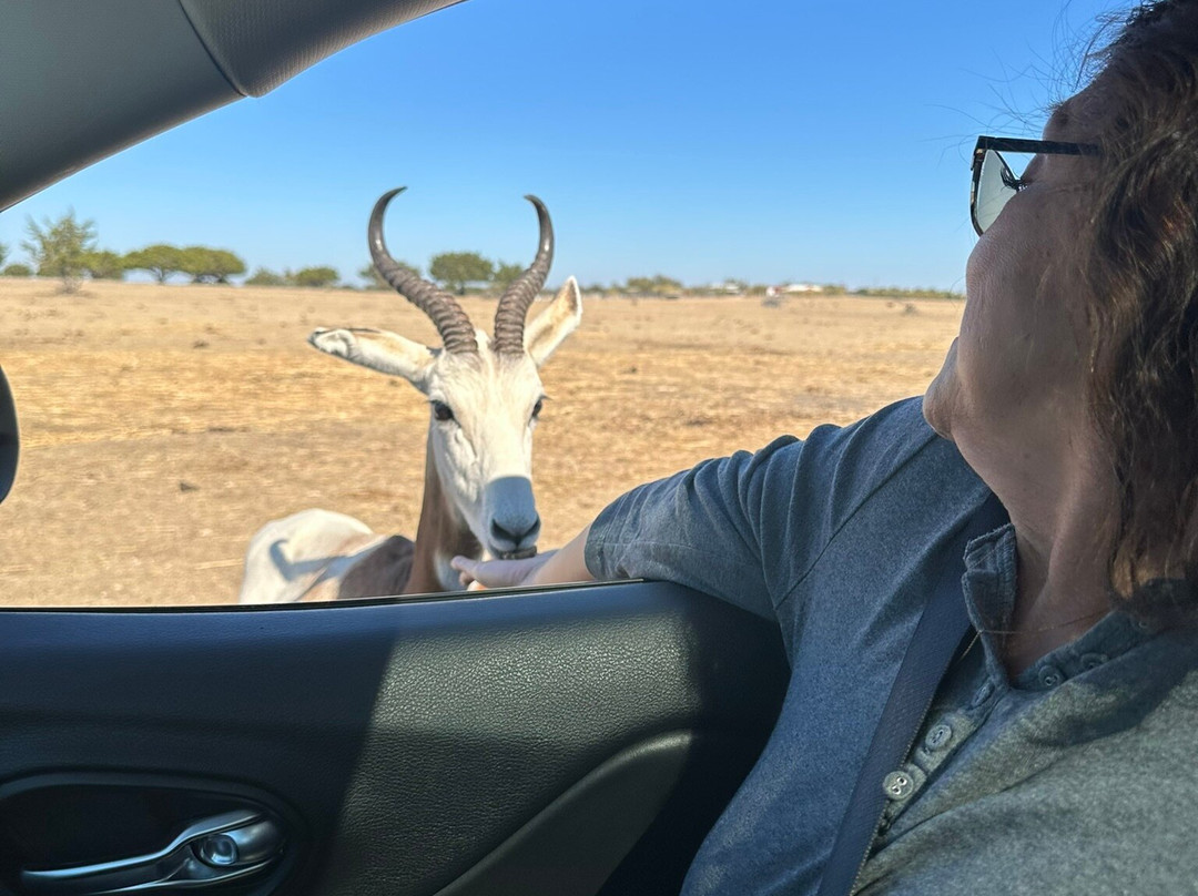 Topsey Exotic Ranch & Drive Thru Safari-Copperas Cove必去景点