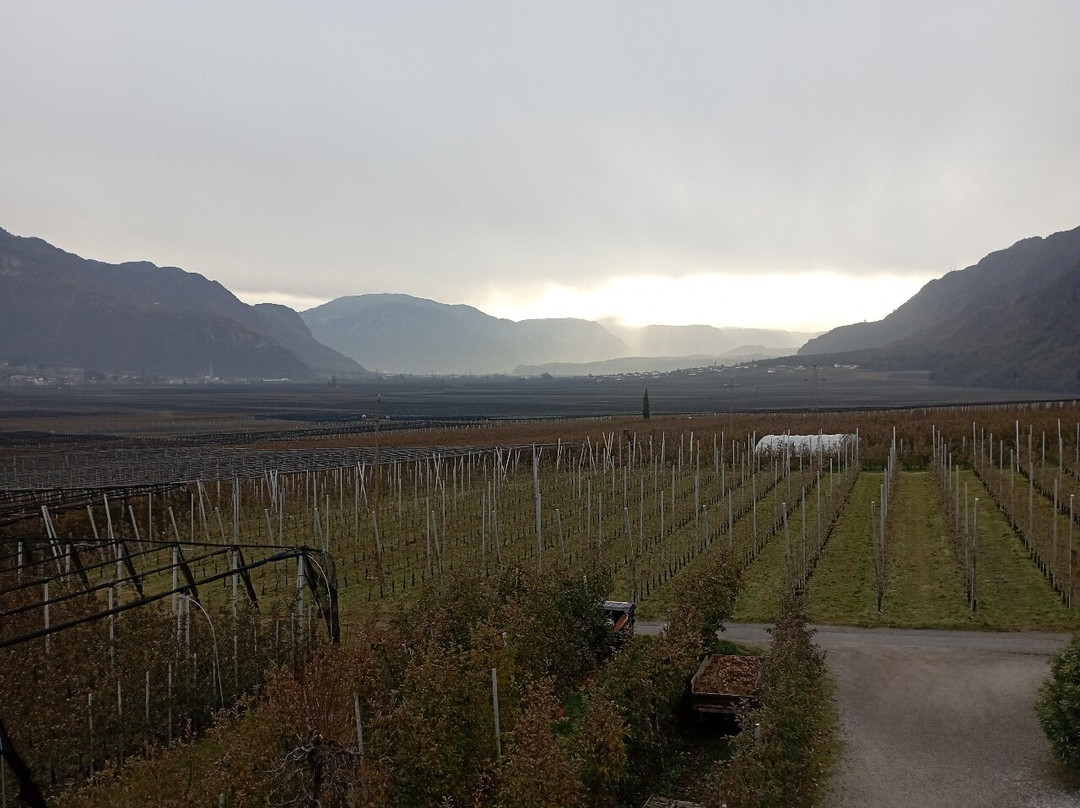 Hotel Traubenheim主图